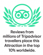 tripadvisor-mybesttour